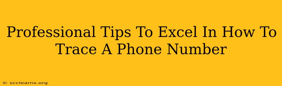 Professional Tips To Excel In How To Trace A Phone Number