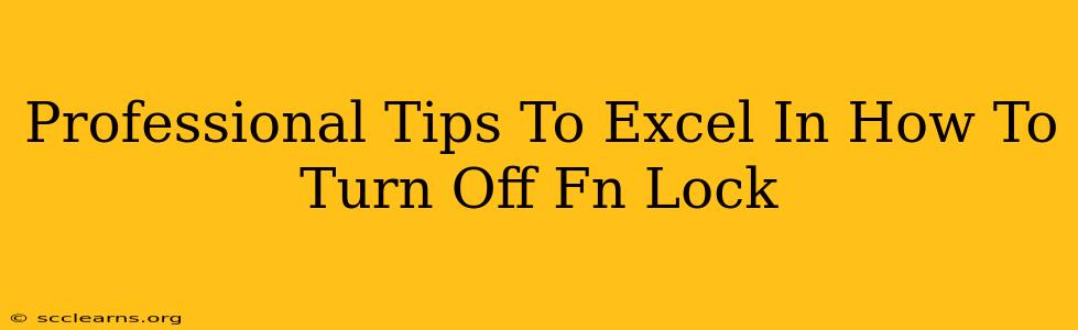 Professional Tips To Excel In How To Turn Off Fn Lock