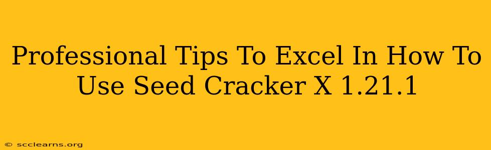 Professional Tips To Excel In How To Use Seed Cracker X 1.21.1