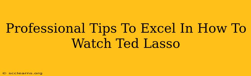 Professional Tips To Excel In How To Watch Ted Lasso