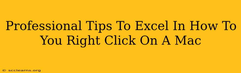 Professional Tips To Excel In How To You Right Click On A Mac