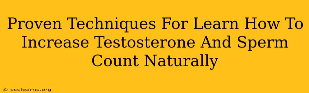 Proven Techniques For Learn How To Increase Testosterone And Sperm Count Naturally