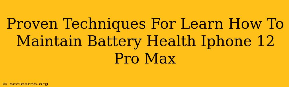 Proven Techniques For Learn How To Maintain Battery Health Iphone 12 Pro Max