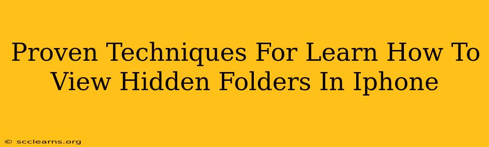 Proven Techniques For Learn How To View Hidden Folders In Iphone