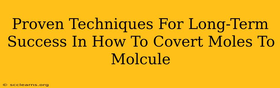 Proven Techniques For Long-Term Success In How To Covert Moles To Molcule