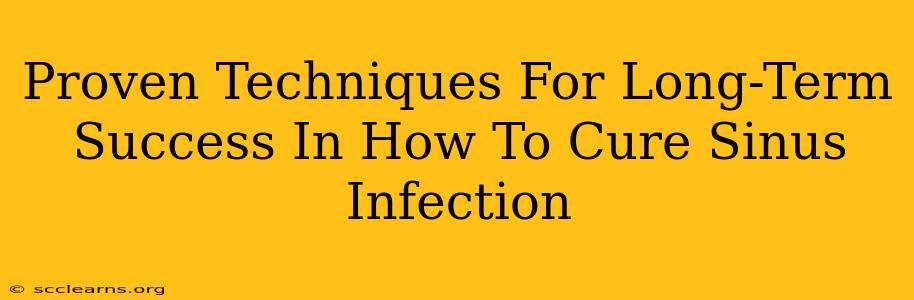 Proven Techniques For Long-Term Success In How To Cure Sinus Infection