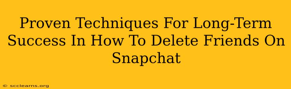 Proven Techniques For Long-Term Success In How To Delete Friends On Snapchat