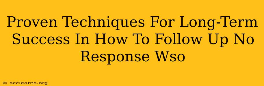 Proven Techniques For Long-Term Success In How To Follow Up No Response Wso