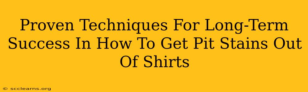 Proven Techniques For Long-Term Success In How To Get Pit Stains Out Of Shirts