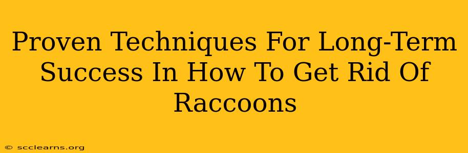 Proven Techniques For Long-Term Success In How To Get Rid Of Raccoons