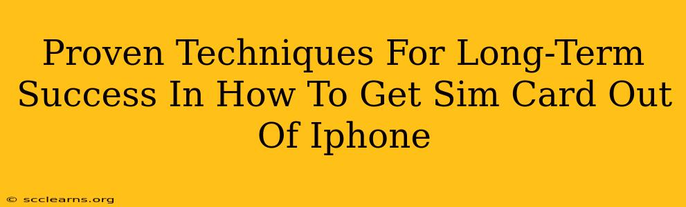 Proven Techniques For Long-Term Success In How To Get Sim Card Out Of Iphone