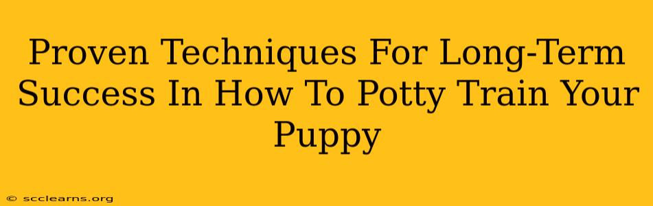 Proven Techniques For Long-Term Success In How To Potty Train Your Puppy