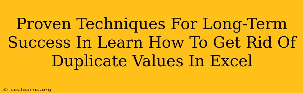 Proven Techniques For Long-Term Success In Learn How To Get Rid Of Duplicate Values In Excel