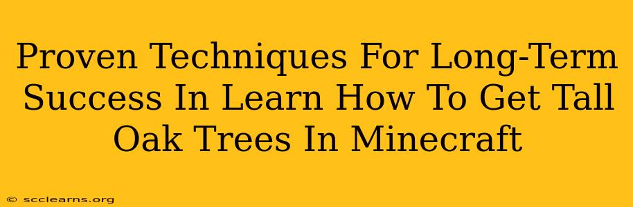 Proven Techniques For Long-Term Success In Learn How To Get Tall Oak Trees In Minecraft