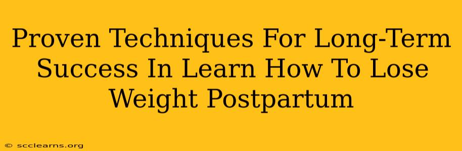 Proven Techniques For Long-Term Success In Learn How To Lose Weight Postpartum