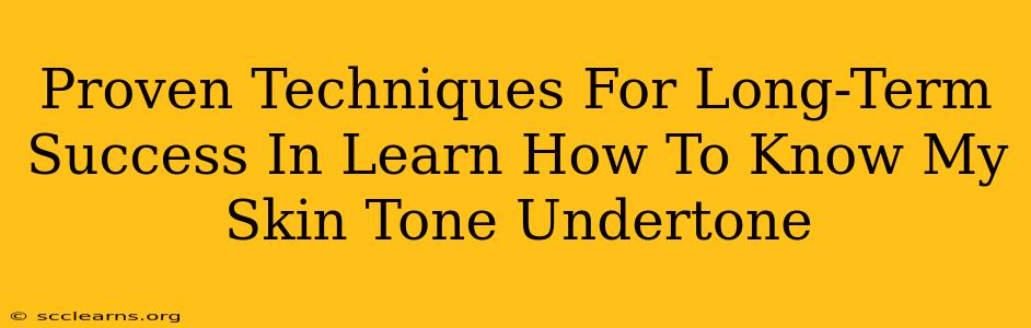 Proven Techniques For Long-Term Success In Learn How To Know My Skin Tone Undertone