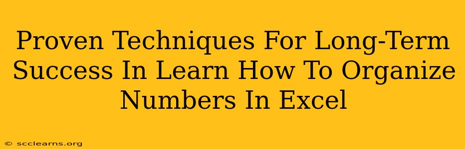 Proven Techniques For Long-Term Success In Learn How To Organize Numbers In Excel