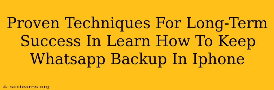 Proven Techniques For Long-Term Success In Learn How To Keep Whatsapp Backup In Iphone