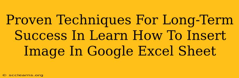 Proven Techniques For Long-Term Success In Learn How To Insert Image In Google Excel Sheet