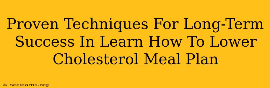 Proven Techniques For Long-Term Success In Learn How To Lower Cholesterol Meal Plan