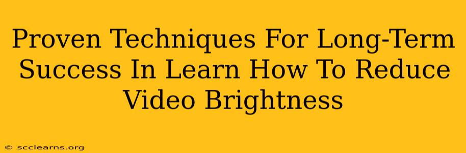 Proven Techniques For Long-Term Success In Learn How To Reduce Video Brightness