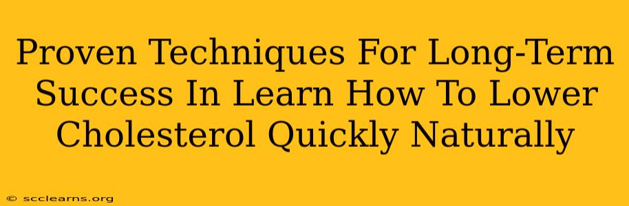 Proven Techniques For Long-Term Success In Learn How To Lower Cholesterol Quickly Naturally