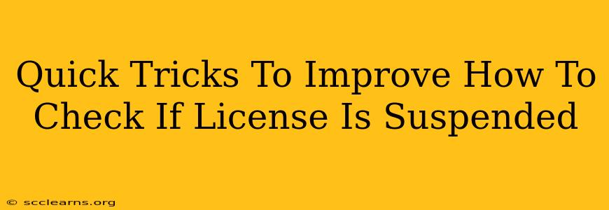 Quick Tricks To Improve How To Check If License Is Suspended