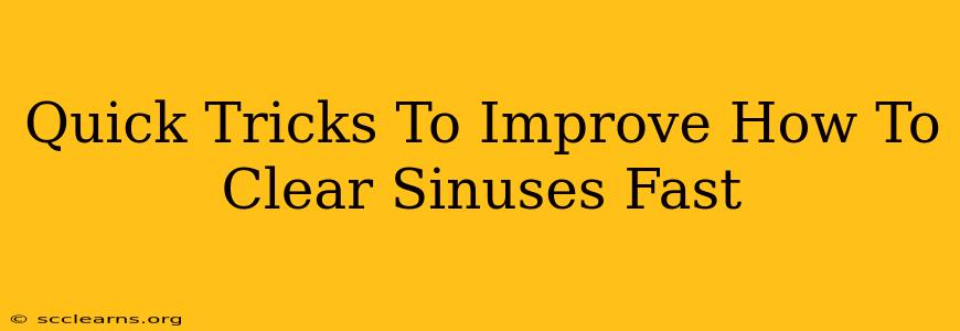 Quick Tricks To Improve How To Clear Sinuses Fast