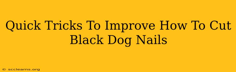 Quick Tricks To Improve How To Cut Black Dog Nails