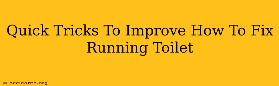 Quick Tricks To Improve How To Fix Running Toilet