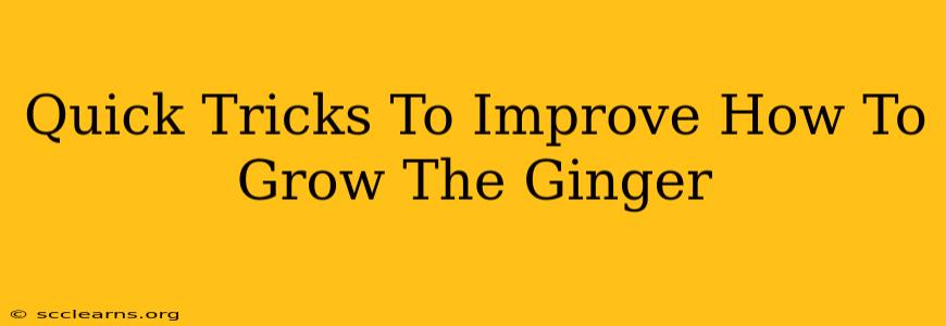 Quick Tricks To Improve How To Grow The Ginger