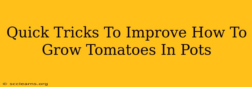 Quick Tricks To Improve How To Grow Tomatoes In Pots