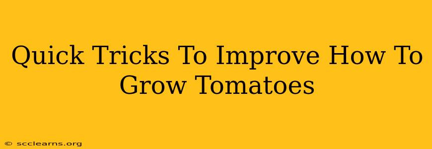 Quick Tricks To Improve How To Grow Tomatoes