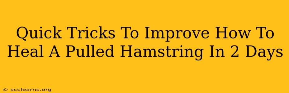 Quick Tricks To Improve How To Heal A Pulled Hamstring In 2 Days