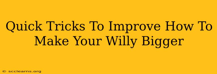 Quick Tricks To Improve How To Make Your Willy Bigger