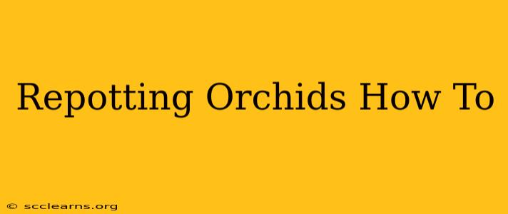 Repotting Orchids How To