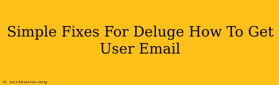 Simple Fixes For Deluge How To Get User Email