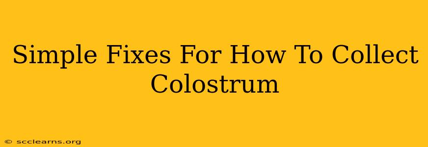 Simple Fixes For How To Collect Colostrum