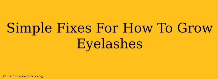 Simple Fixes For How To Grow Eyelashes