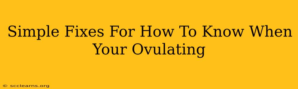 Simple Fixes For How To Know When Your Ovulating