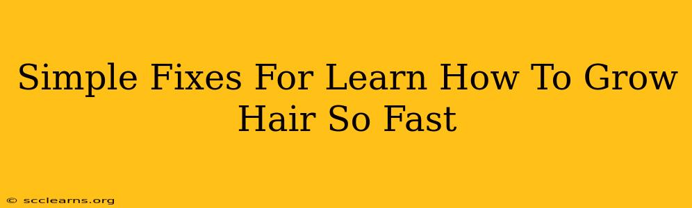 Simple Fixes For Learn How To Grow Hair So Fast