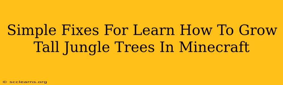 Simple Fixes For Learn How To Grow Tall Jungle Trees In Minecraft