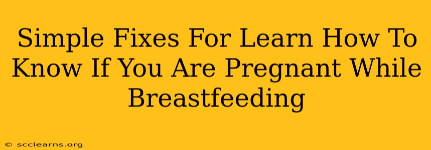 Simple Fixes For Learn How To Know If You Are Pregnant While Breastfeeding