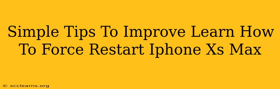 Simple Tips To Improve Learn How To Force Restart Iphone Xs Max