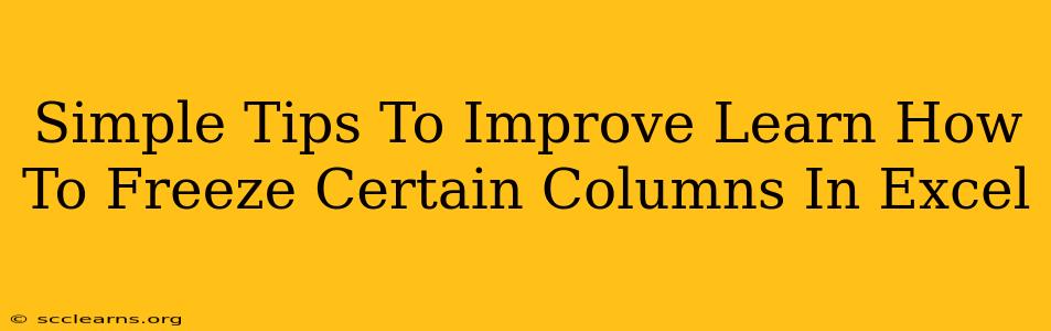 Simple Tips To Improve Learn How To Freeze Certain Columns In Excel