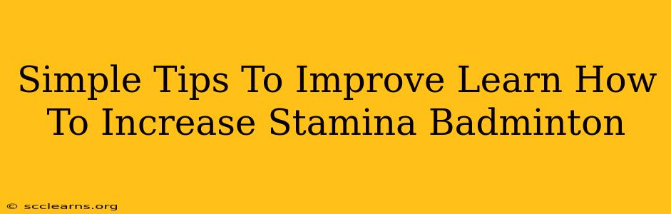 Simple Tips To Improve Learn How To Increase Stamina Badminton