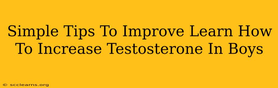 Simple Tips To Improve Learn How To Increase Testosterone In Boys