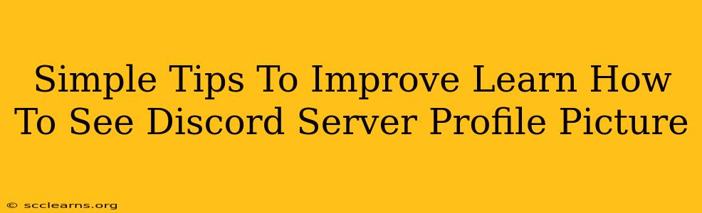 Simple Tips To Improve Learn How To See Discord Server Profile Picture