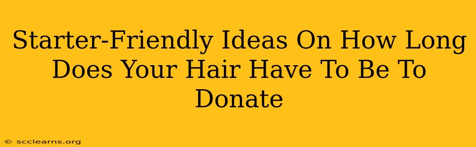 Starter-Friendly Ideas On How Long Does Your Hair Have To Be To Donate