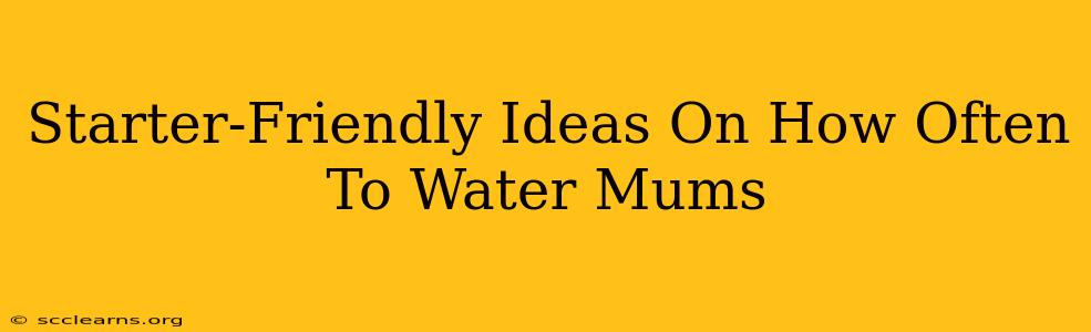 Starter-Friendly Ideas On How Often To Water Mums